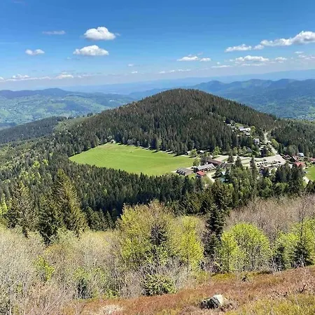 Appartement Au Nid Des Pies Soultzeren