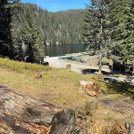 Au Nid Des Pies Appartamento